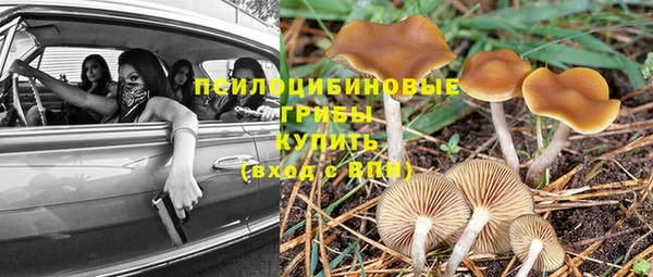 jwh Абаза