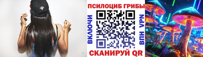 наркошоп Ахтырский Псилоцибиновые грибы мицелий